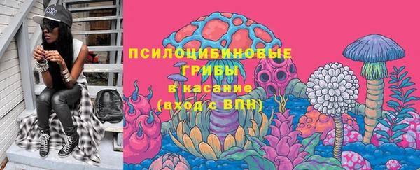 первитин Вяземский