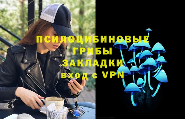 первитин Вяземский