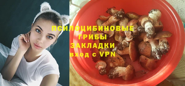 первитин Вяземский