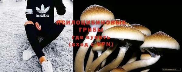 первитин Вяземский